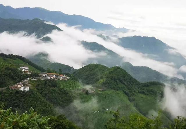 神农架旅游：木鱼镇雨后青天袍