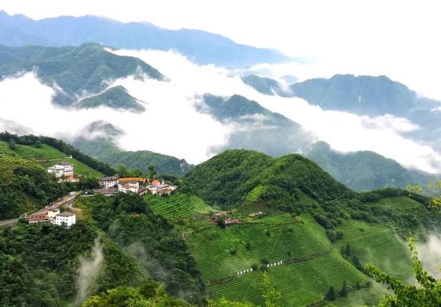 神农架旅游：木鱼镇雨后青天袍