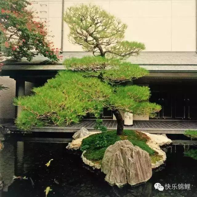 走近日本国宝级造园大师：枡野俊明的禅意庭院