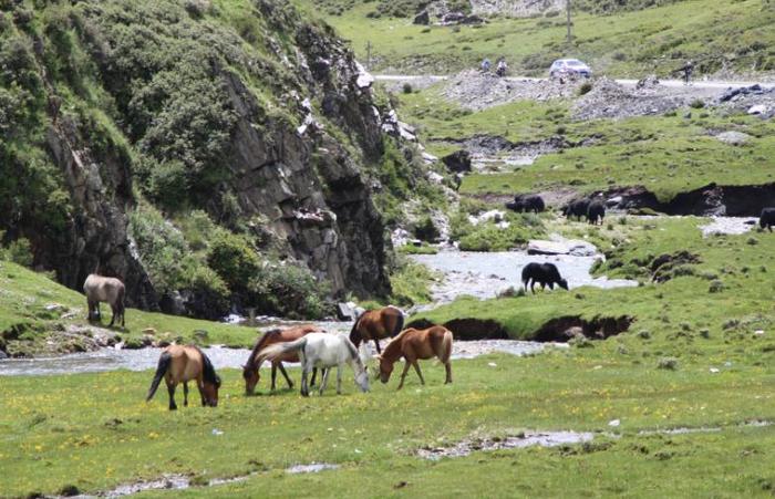 国内最美的地方，不输于稻城亚丁，露营旅游的专属之地！