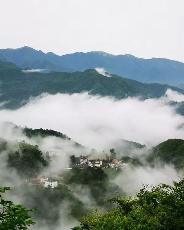 神农架旅游：木鱼镇雨后青天袍