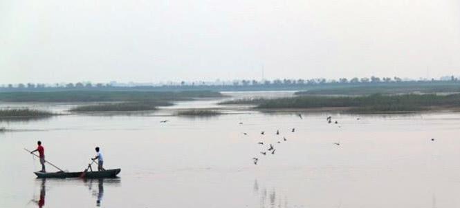 衡水湖，华北平原唯一保持完整湿地生态系统的自然保护区