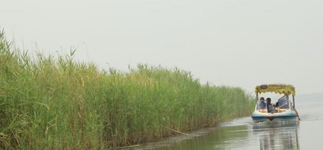 衡水湖，华北平原唯一保持完整湿地生态系统的自然保护区