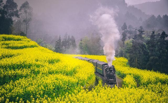 待到风吹“疫”散时，我们去看山花烂漫吧！网红打卡赏花地