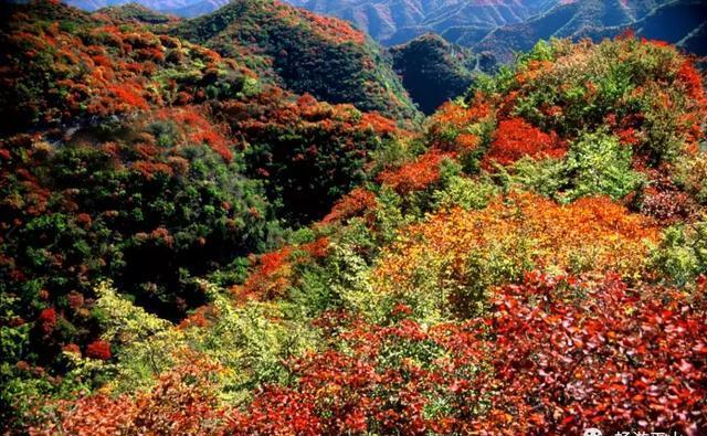 9月平山最佳旅行地丨有一种美，叫秋天的平山