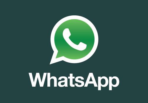 用WhatsApp找客户你会吗？