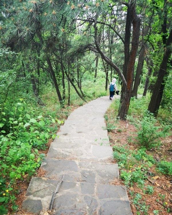 坐标沈阳棋盘山北坡大洋山，寻找宁静天然大氧吧
