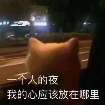 表情包：我的心应该放在哪里