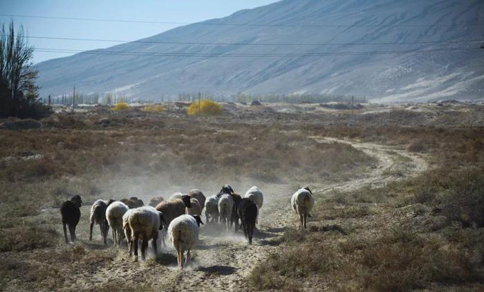 史上最美自驾公路，串联新藏+滇藏，每一帧都是大片