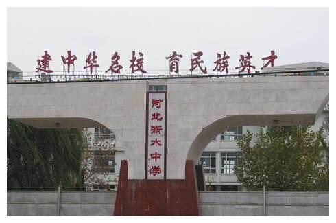 衡水中学为什么一本升学率这么吓人，专家带你深入了解衡水之谜