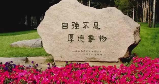 清华最牛班，2019级新生汇聚了，高考第一名、奥赛金牌等一批天才