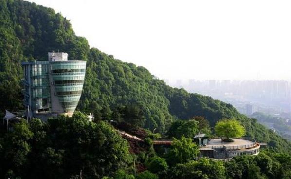 重庆南山一棵树，俯瞰“小香港”最美夜景，两江灯火美爆了