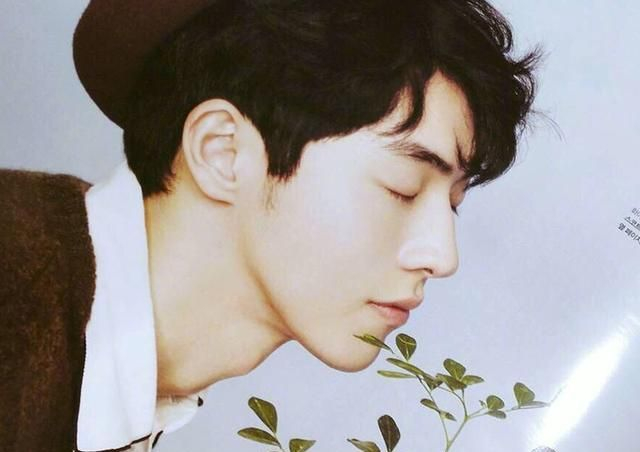 “驼峰鼻”正流行，王俊凯、片寄凉太的侧脸迷人，最后一图最经典