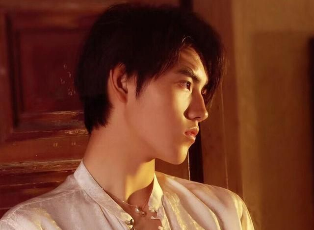 “驼峰鼻”正流行，王俊凯、片寄凉太的侧脸迷人，最后一图最经典