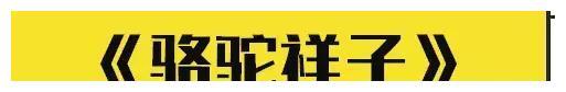 初一丨名著《海底两万里》《骆驼祥子》练习题精选及答案
