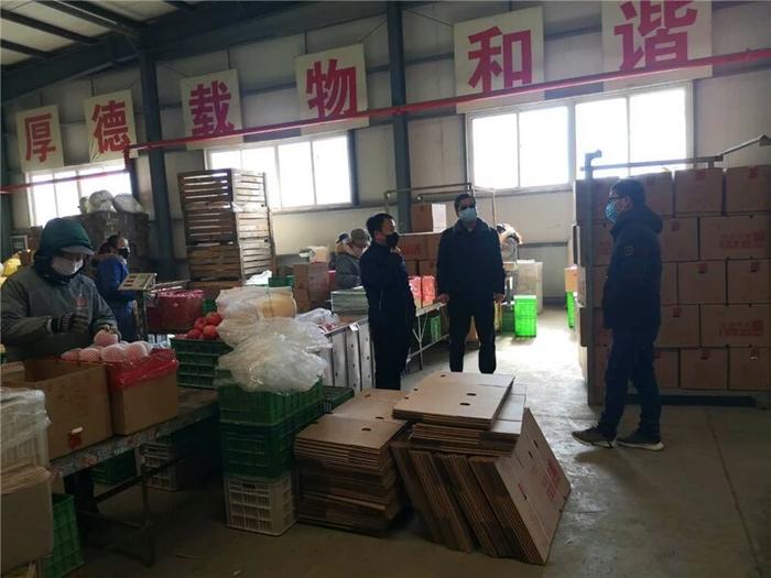 渭南市全市果业春管及果品销售工作有序复工