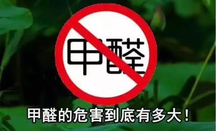 甲醛真的怕柚子皮吗？太天真，它们才是甲醛的“冤家”！