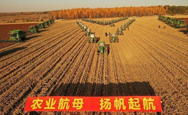 黑龙江嫩江农场高粱大丰收，70台收割机、灭茬机、整地机同步作业