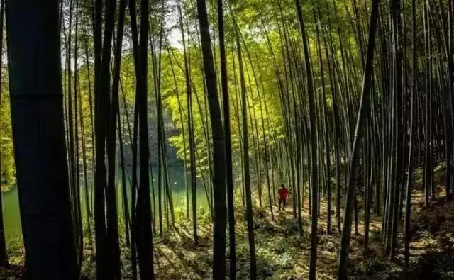 芜湖周边清凉避暑胜地大盘点！凉凉凉