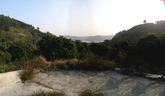 风水名地宝鸭下莲塘，李氏葬广西梧州风水宝地，完美的风水案例