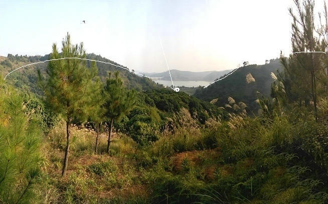 风水名地宝鸭下莲塘，李氏葬广西梧州风水宝地，完美的风水案例