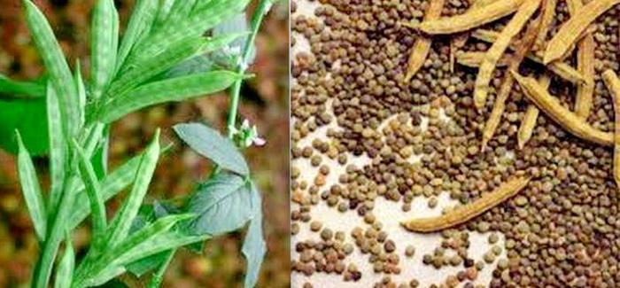 12种常见的食品添加剂 - 你应该避免使用它们吗？