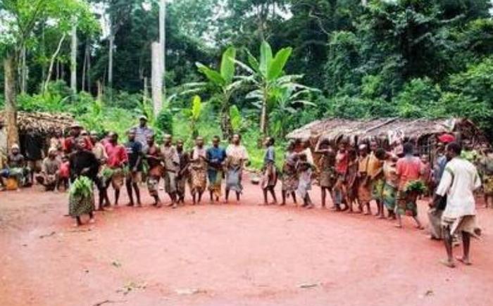 非洲最神秘的“小矮人”部落，用芭蕉叶搭房子，8岁基本发育成熟