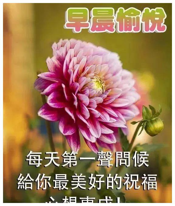 非常漂亮早上好祝福语美图，早晨问候大家早上好阳光暖心