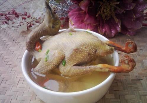 大补鸽子汤的19种做法，营养丰富，味道鲜美