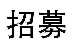 急租唐DM、途观PHEV一周，租金约1万元/辆