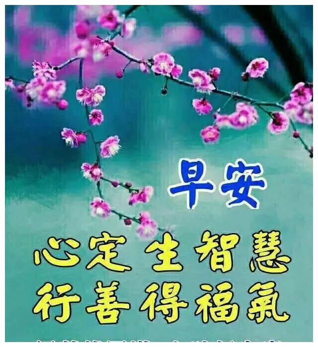 非常漂亮早上好祝福语美图，早晨问候大家早上好阳光暖心