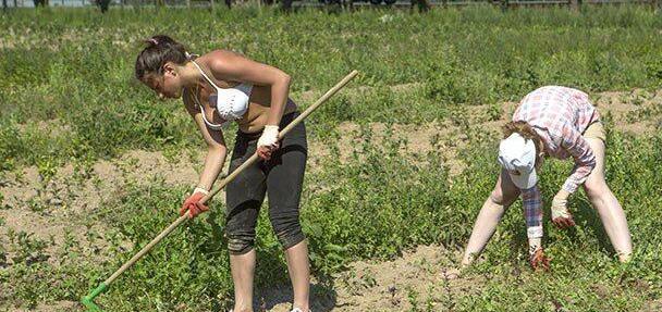 俄罗斯的农村女孩很能干，但为了生活，在漂亮的姑娘也得下田种地