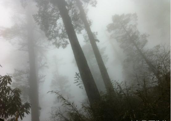 中国景区进去的人无一生还, 已经封山四百年, 成世界旅游禁地