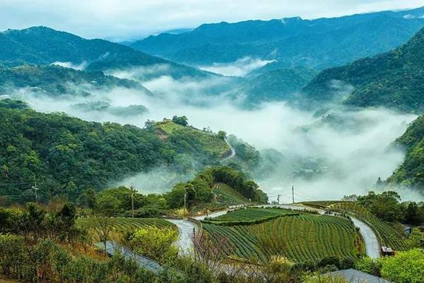 秋天马上就要过去了，描写秋天景色的千古名句你知道多少？