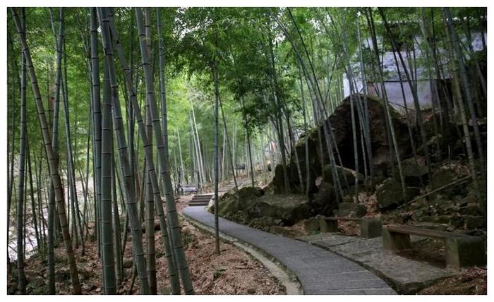 知味双城 | 铁皮石斛套种黄精，再用黄精水炖猪蹄，太滋补