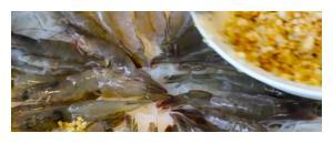 小龙虾与蒜蓉基围虾的区别是什么？哪个好吃？