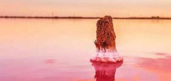 地球撩神塞内加尔，粉色玫瑰湖，大自然的少女心