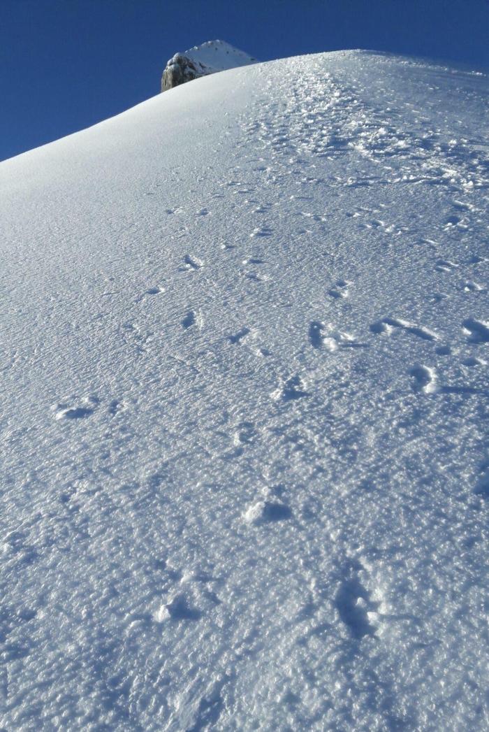 哈巴雪山，开启勇敢者圆梦征程的地方