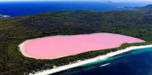 地球撩神塞内加尔，粉色玫瑰湖，大自然的少女心