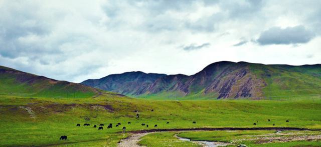 “人类最后的净土”，藏羚羊的故乡，光听名字就很美