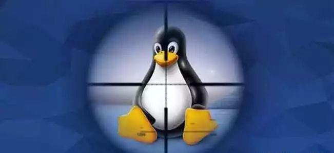 如何在Linux学习旅程中避免常见陷阱？