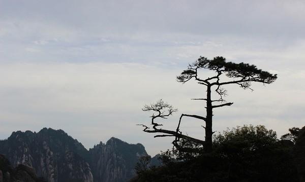 安徽十大旅游景点，安徽旅游必去的十大旅游景点，您去过哪些呢？