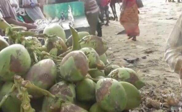 来看看印度人是怎么吃椰子的，如果你还只喝椰汁，那简直亏大了！