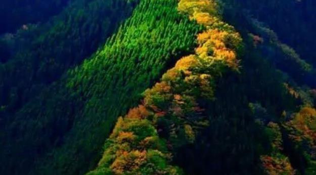 桃山悬羊峰有北国小黄山的美誉，景丽石奇，山险松秀，群峰叠翠