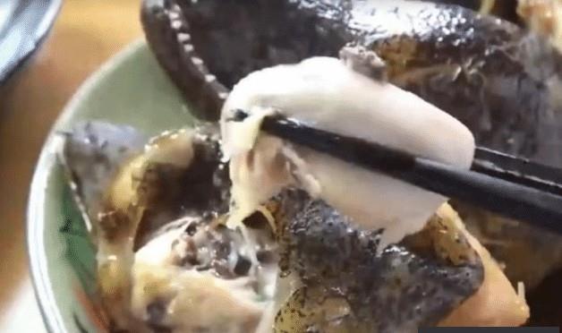 日本一种很常见的海鲜，长着鳄鱼皮和鳗鱼身，就问你敢不敢尝一口