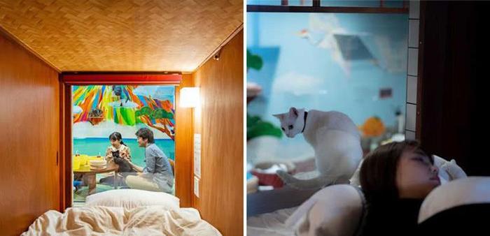 猫奴必朝圣！大阪猫咖啡厅“结合胶囊旅馆”让你在猫皇环绕下睡觉