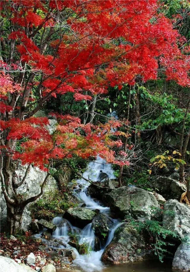 安徽十大旅游景点，安徽旅游必去的十大旅游景点，您去过哪些呢？