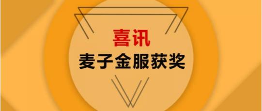 喜讯！麦子金服荣获2019年“卓越风控优秀案例”奖项