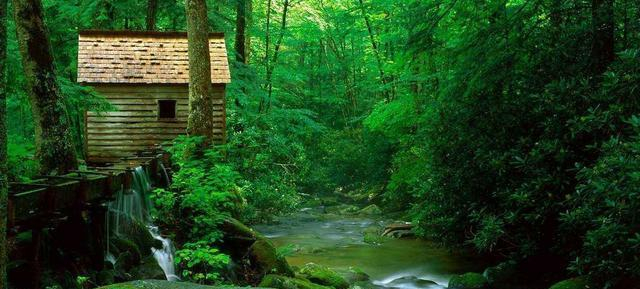 ���������׸�����������90�����ѵ��ഺ����