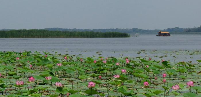 「玩遍衡水」最美湿地-衡水湖